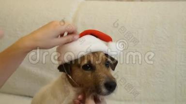 一个女孩戴上狗帽过圣诞节。 2018<strong>狗年</strong>。